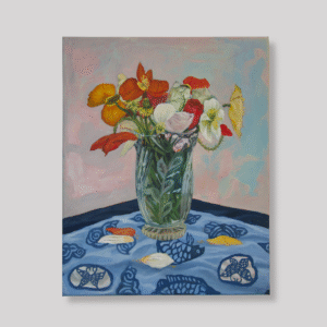 ficus decora cabernet